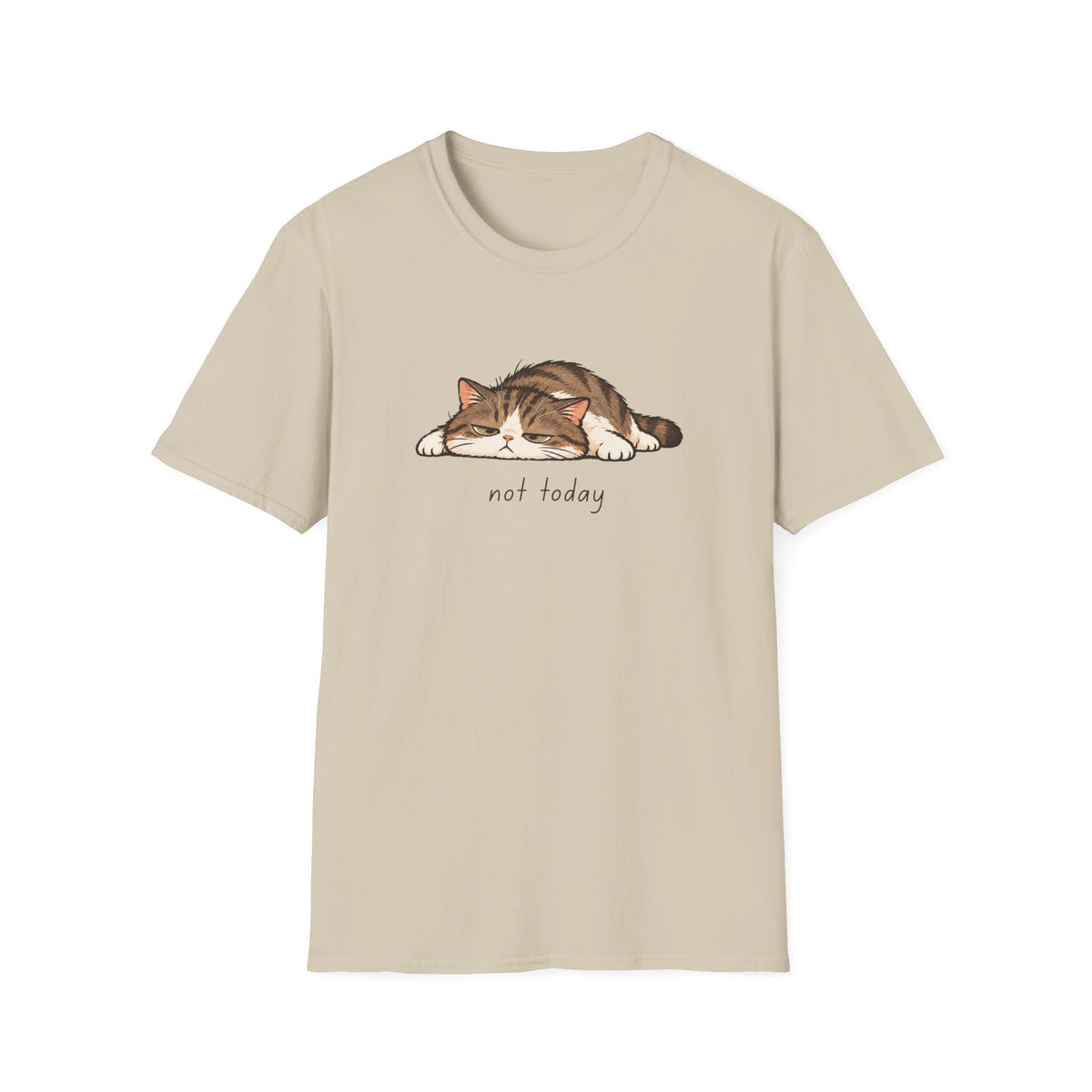 Not Today Cat Tee