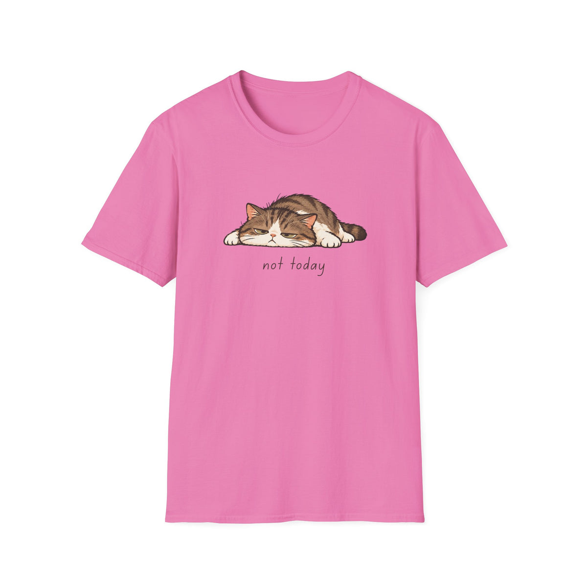 Not Today Cat Tee